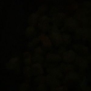 Meet your Posher, Armando